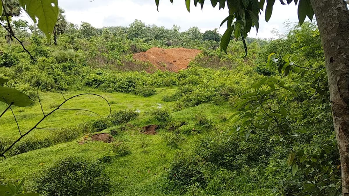 ফেনী সীমান্তে ড্রেন কাটতে এসে বিএসএফ পিছু হটে পালালেন !