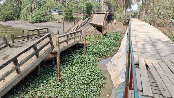 কুয়াকাটায় খালের ভাঙা সেতুতে ২ বছর ধরে ঝুঁকিপূর্ণ চলাচল
