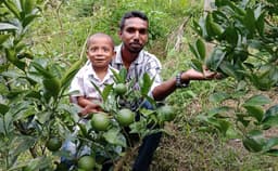 শ্রীমঙ্গলে মাল্টা চাষে সফল কৃষক আতর আলী