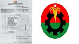 নির্বাচনী প্রস্তুতিতে বিএনপির নতুন পেশাজীবী কমিটি