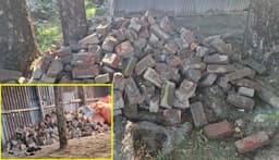 কোম্পানীগঞ্জে যুবদল নেতার বিরুদ্ধে সরকারি সড়কের ইট আত্মসাতের অভিযোগ