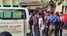 দুমকিতে পাগলা কুকুরের তাণ্ডব, নারী-শিশুসহ ৩২ জন আহত