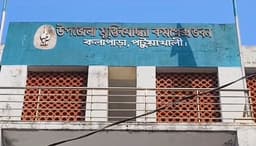 কলাপাড়া মুক্ত দিবস: বীর মুক্তিযোদ্ধাদের গৌরবময় বিজয়