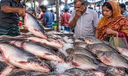 গরিবের পাঙাশ-তেলাপিয়াও এখন আড়াইশ টাকার বাজারে