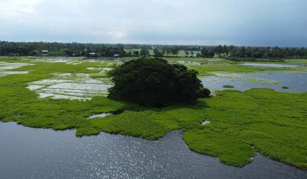 অলৌকিক কল্পকাহিনীর আড়ালে টাঙ্গাইলের জুগীর ঘোপায় মাদক আসর