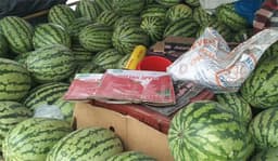 দাম কমলেও তরমুজ কিনতে আগ্রহ কম ক্রেতাদের