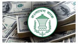 ৩১.৮৯ বিলিয়ন ডলারে পৌঁছাল দেশের বৈদেশিক মুদ্রার রিজার্ভ
