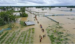 দেশে বন্যার আঘাতে চারশ কোটি টাকার মাছের ক্ষয়ক্ষতি