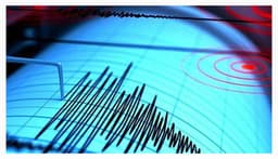 ভারতে ৩.৫ মাত্রার ভূমিকম্প, ভুটান-সাগরে আরও আঘাত