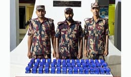 টেকনাফে বিজিবির অভিযানে ১ লাখ ৮০ হাজার ইয়াবা উদ্ধার