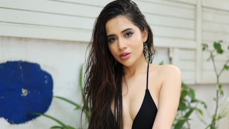 গোপনাঙ্গ প্রদর্শন না করা পর্যন্ত জেলে পাঠানোর উপায় নেই: উরফী