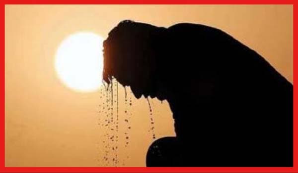 ২০২৪ সালে ভয়াবহ গরমের পূর্বাভাস বিজ্ঞানীদের