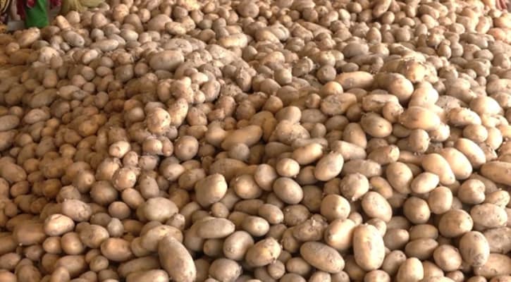 আসতে শুরু করেছে ভারতীয় আলু