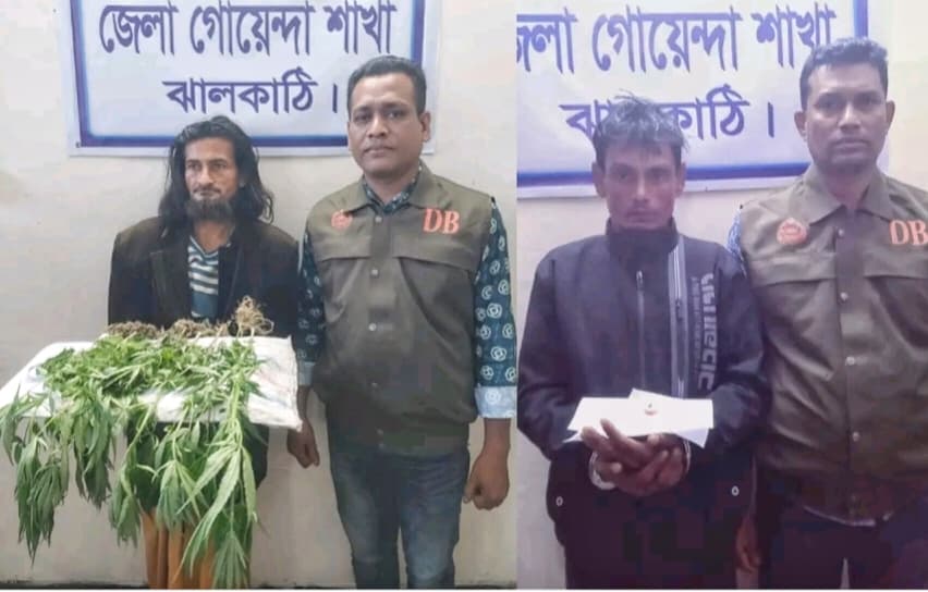 ঝালকাঠিতে ৮টি গাঁজাগাছ ও ইয়াবাসহ দুইজন আটক