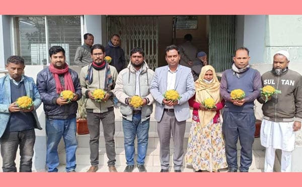 রঙিন ফুলকপি চাষে আগ্রহ বাড়ছে সীমান্তবর্তী কৃষকদের
