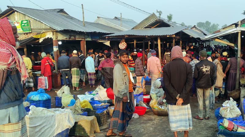 কলাপাড়ায় সড়কে অবৈধ মাছের বাজার বন্ধের দাবি
