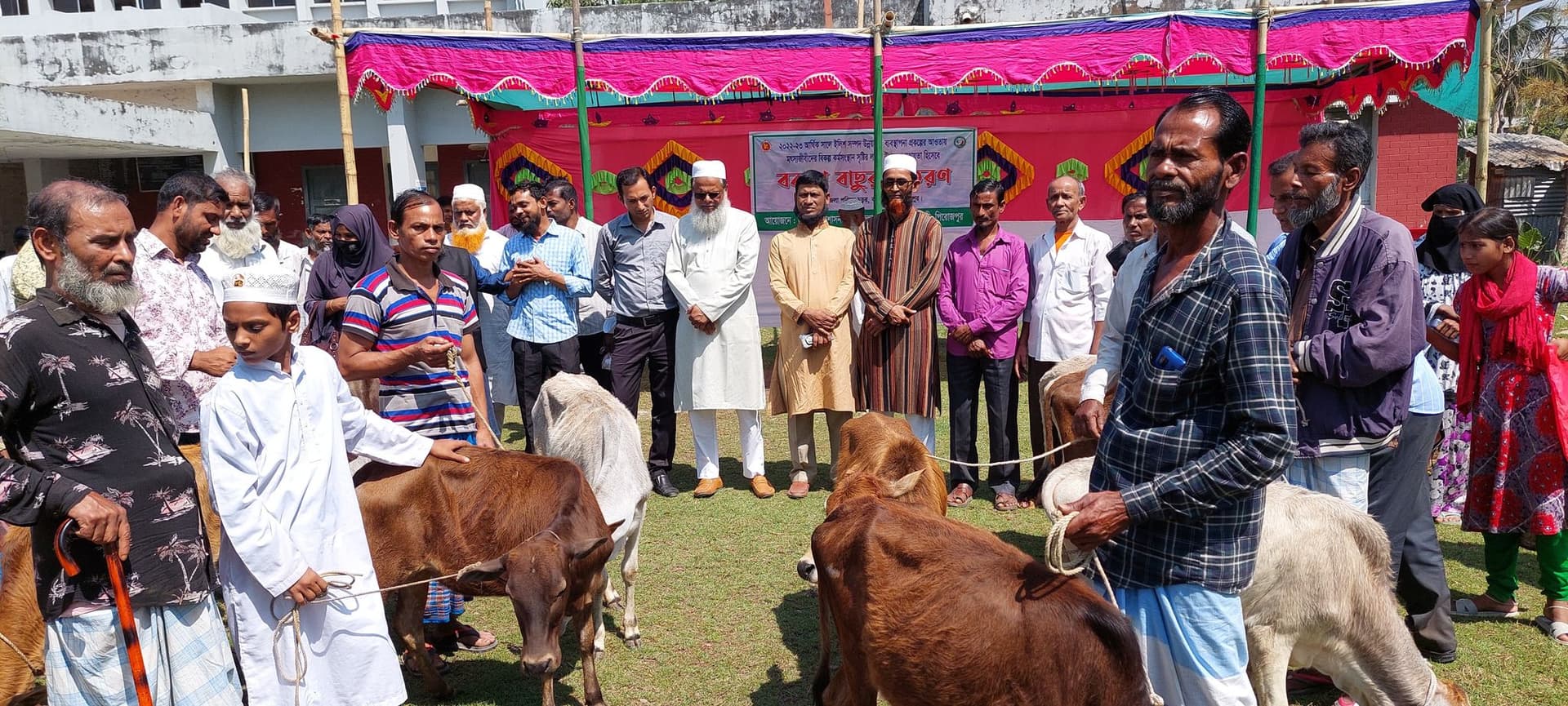 কাউখালীতে জেলেদের মাঝে বকনা বাছুর বিতরন