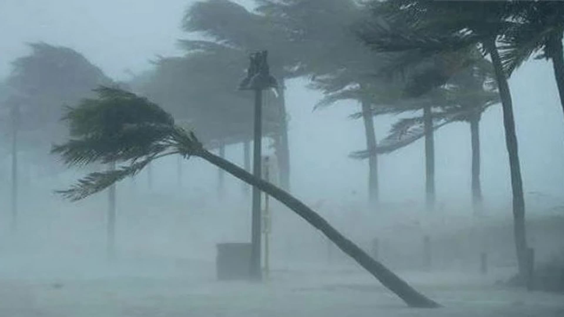 উপকূলে তাণ্ডব চালাচ্ছে ঘূর্ণিঝড় রেমাল