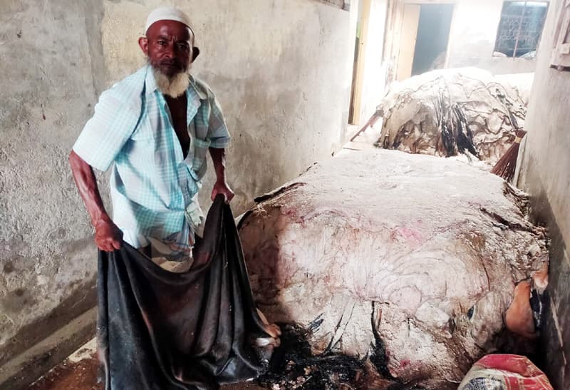 বরিশালে পশুর চামড়ার দরপতন, হতাশ সংগ্রহকারীরা