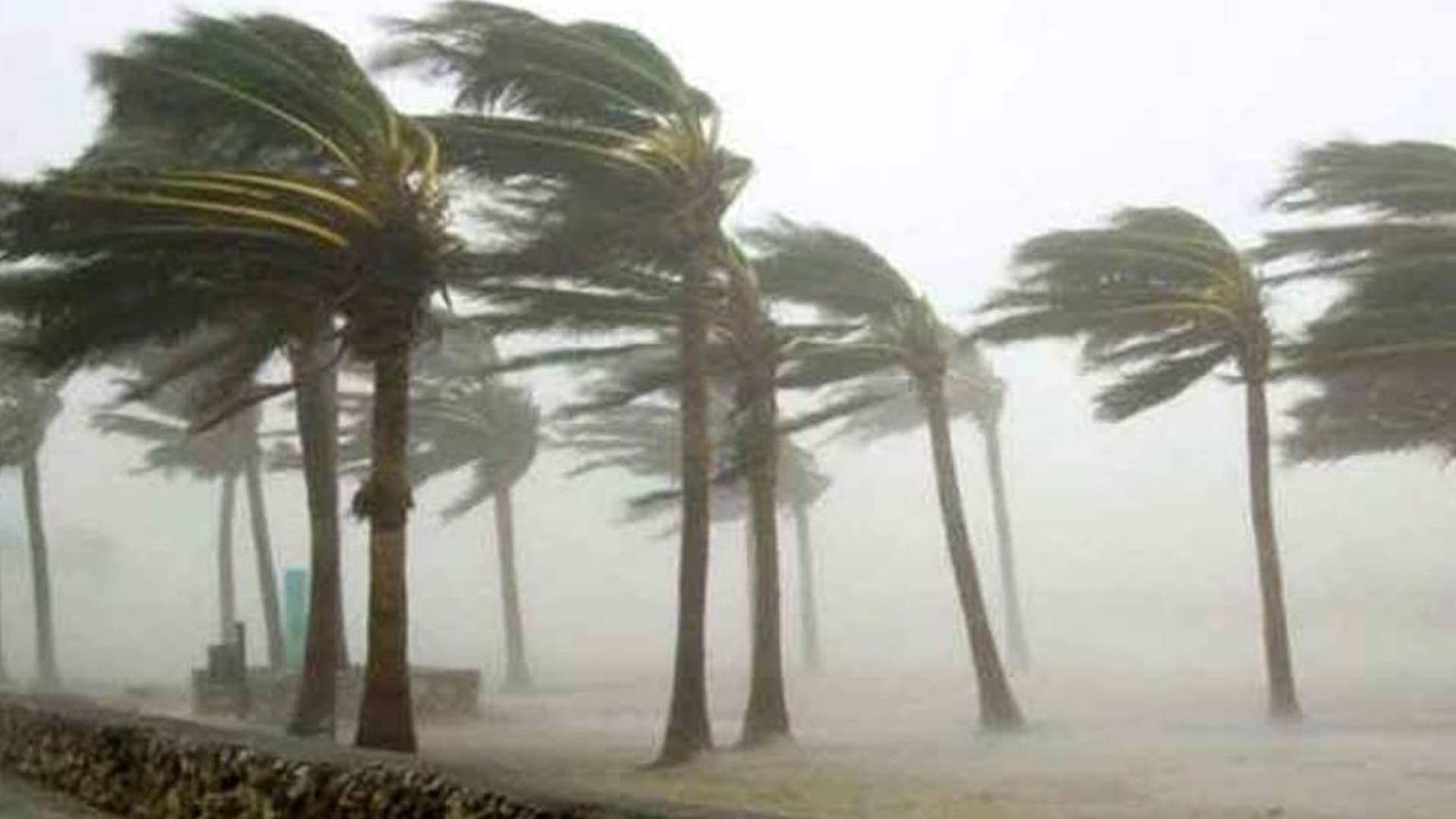 দুপুরের মধ্যে ২০ জেলায় ৬০ কিমি বেগে ঝড়ের আভাস