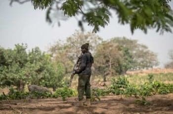 নাইজেরিয়ায় বন্দুক হামলায় নিহত ৩৪