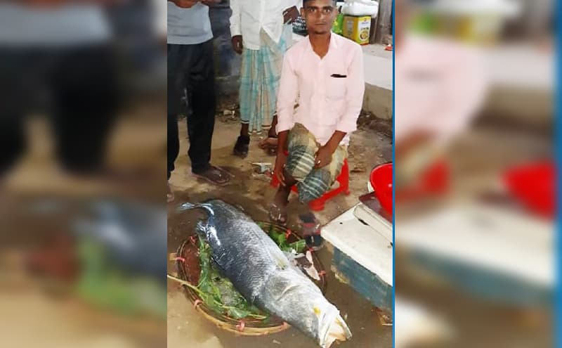 জেলের বড়শিতে ধরা পড়ল ২৭ কেজির কোরাল