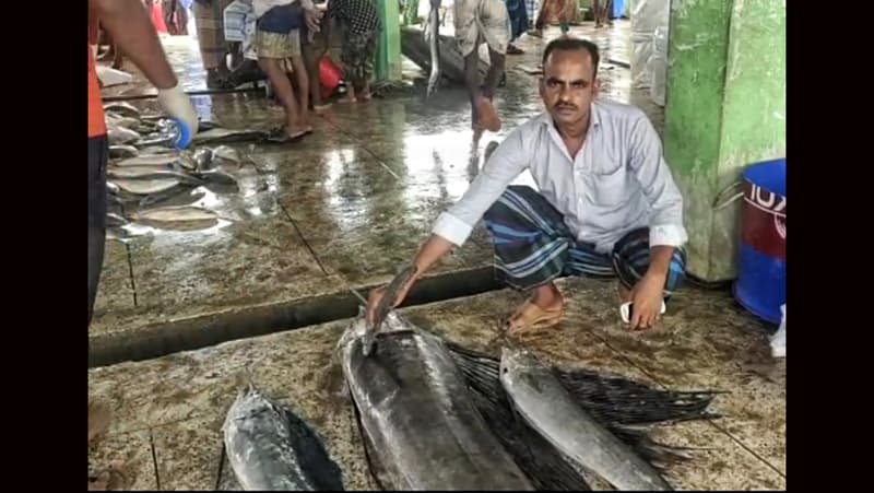 সমুদ্রে জেলের জালে ধরা পড়ল ৩ টি সেইল ফিস