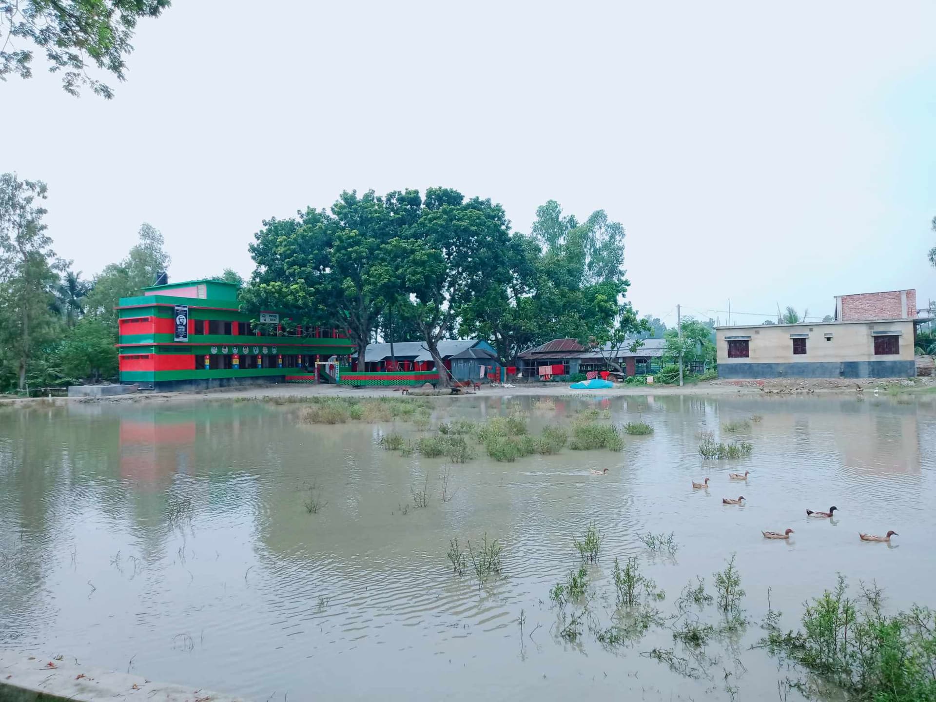 স্কুল মাঠে জলাবদ্ধতা; যাতায়াতে ভোগান্তি শিক্ষার্থীদের!