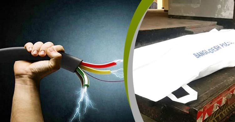 বিদ্যুতের তারে জড়িয়ে ২ ভাই নিহত