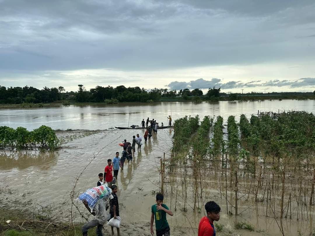 বানভাসিদের পাশে শ্রীমঙ্গলের একঝাঁক তরুণ