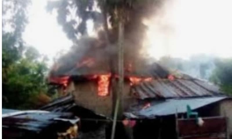 ভীমরুলের বাসা পোড়াতে গিয়ে বাড়ী পুড়ে ছাঁই