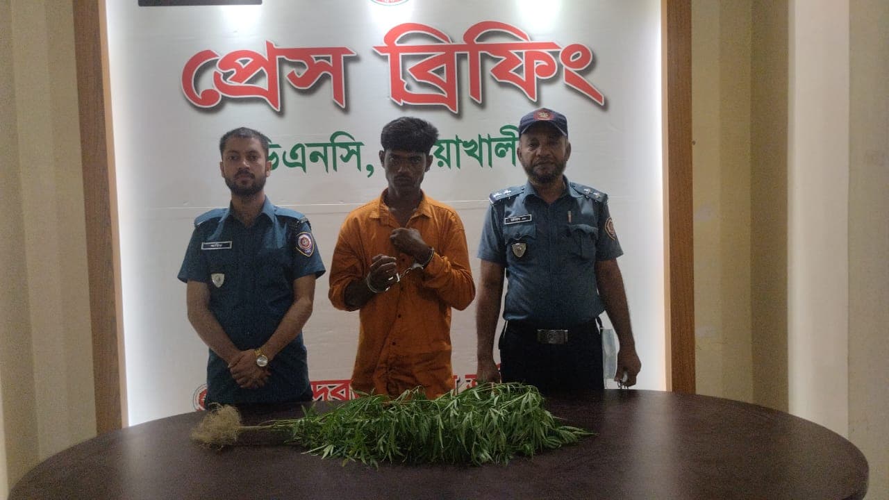 বাড়ির ছাদে গাঁজা চাষ, কেয়ারটেকার গ্রেফতার