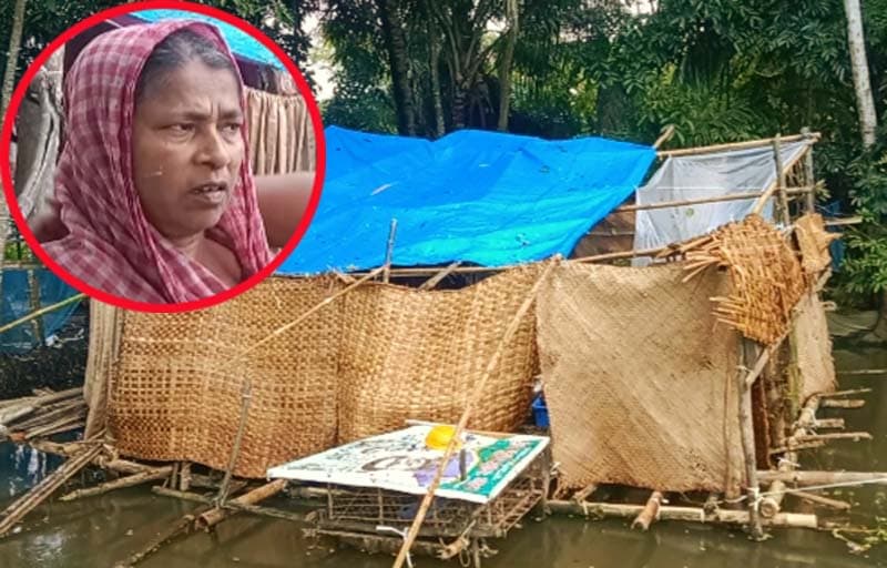 পুকুরে মাঁচা বানিয়ে অসহায় মিনারার বসবাস !