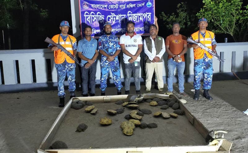 কলাপাড়ায় যাত্রীবাহী বাস থেকে ৬২টি কচ্ছপ উদ্ধার