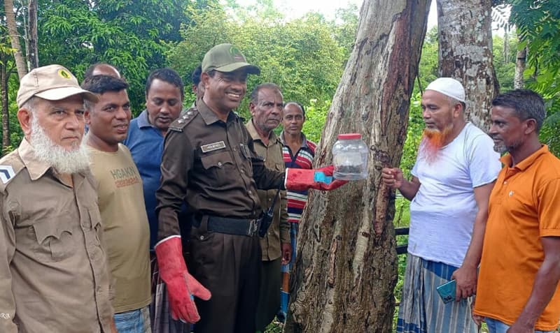 মোংলায় বিরল প্রজাতির তক্ষক উদ্ধার, বনে অবমুক্ত