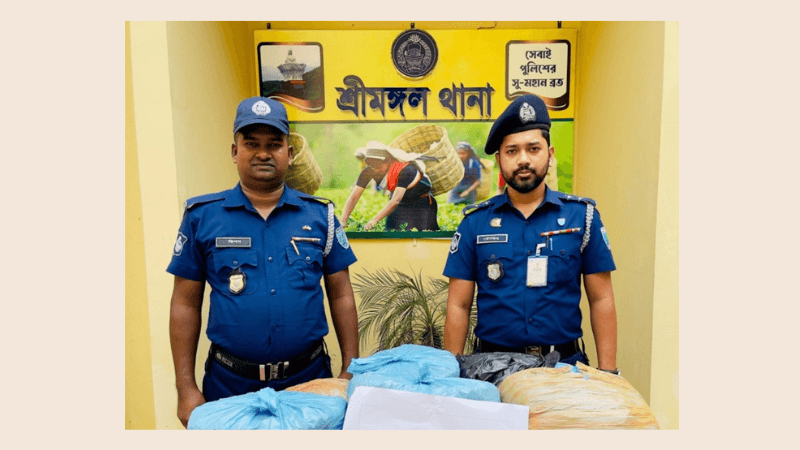 শ্রীমঙ্গলে কুরিয়ার সার্ভিস থেকে ২০ কেজি গাঁজা উদ্ধার