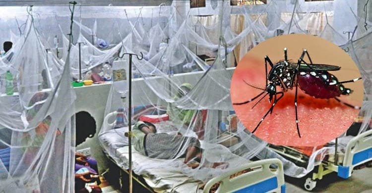 ভয়ংকর হচ্ছে ডেঙ্গু, বাড়ছে মৃত্যু
