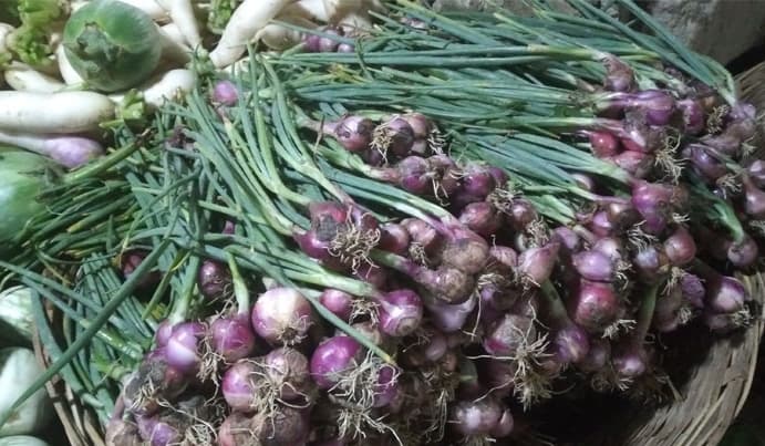 হিলি বাজারে উঠতে শুরু করেছে নতুন পাতা পেঁয়াজ দামও বেশি