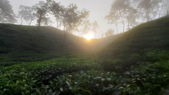 শ্রীমঙ্গলে দেশের সর্বনিম্ন তাপমাত্রা রেকর্ড
