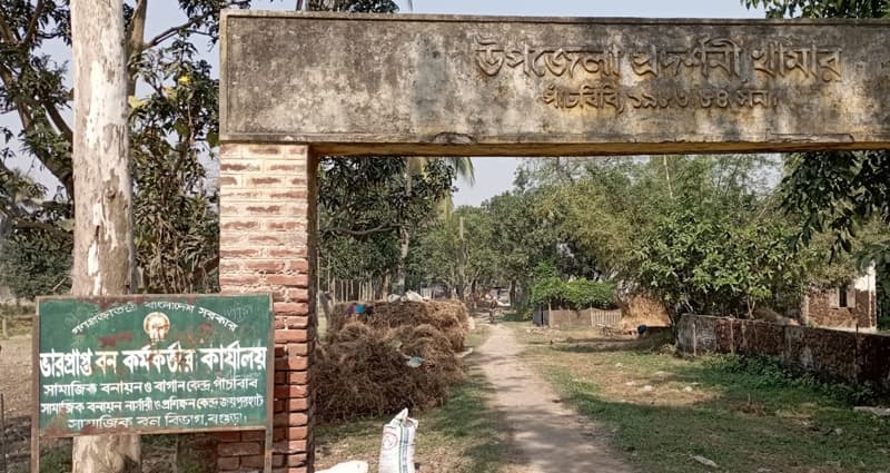 পাঁচবিবিতে সরকারী বন বিভাগ মাদক সেবীদের আখড়ায় পরিণত !