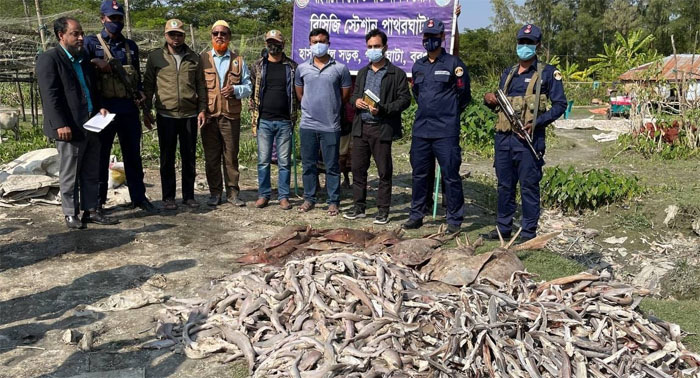 পাথরঘাটায় হাঙরের ১২মন শুঁটকি উদ্ধার