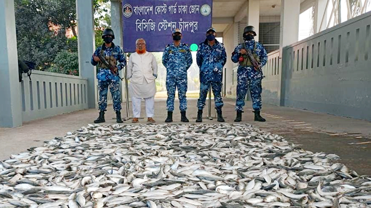 চাঁদপুরে ৩০ মণ জাটকা জব্দ, বিতরণ করা হলো দুস্থদের মাঝে