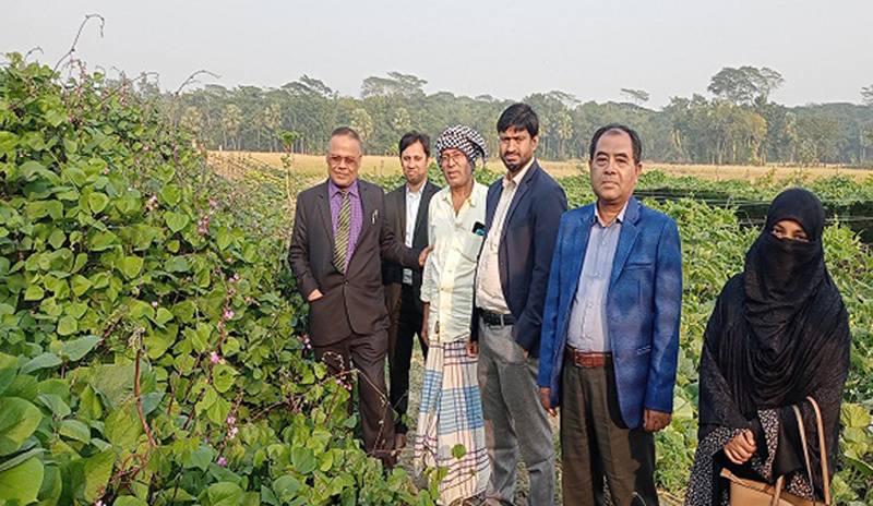 স্মার্ট কৃষি খামারে আলোড়ন তুললেন বরিশালের সুমন