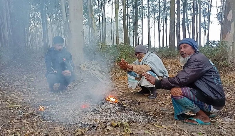 শীতে কাবু লালমনিরহাটের মানুষ, চিন্তিত কৃষকরা