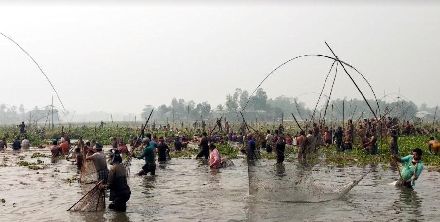 টাঙ্গাইলে মাছ ধরা উৎসব