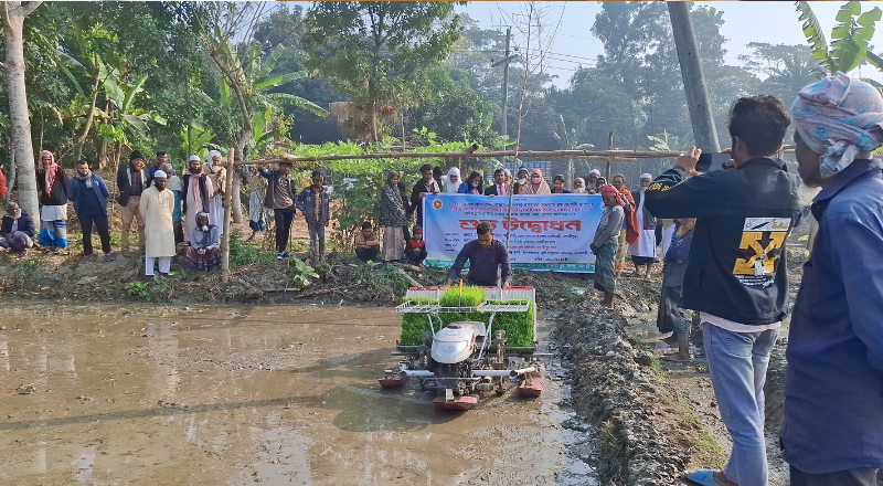 মাদারীপুরে যন্ত্রের মাধ্যমে বোরো ধান রোপন শুরু