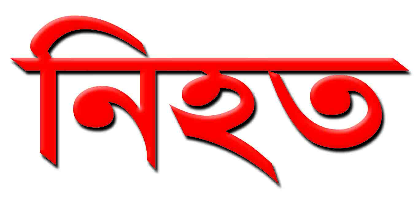 দুই ভাইয়ের মারামারির ঘটনায় নিহত ১