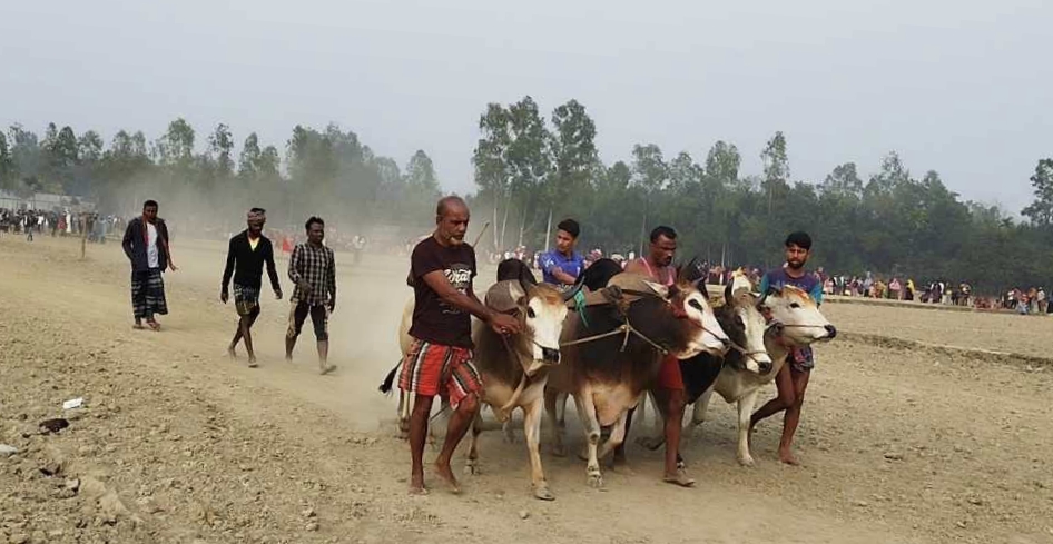 জামালপুরে ঐতিহ্যবাহী মই দৌড় দেখতে হাজারো মানুষের ভিড়