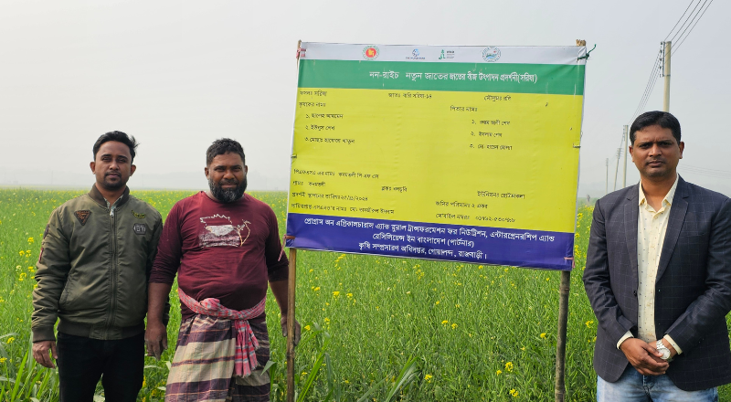 গোয়ালন্দে সরিষা চাষে বাম্পার ফলনের সম্ভাবনা