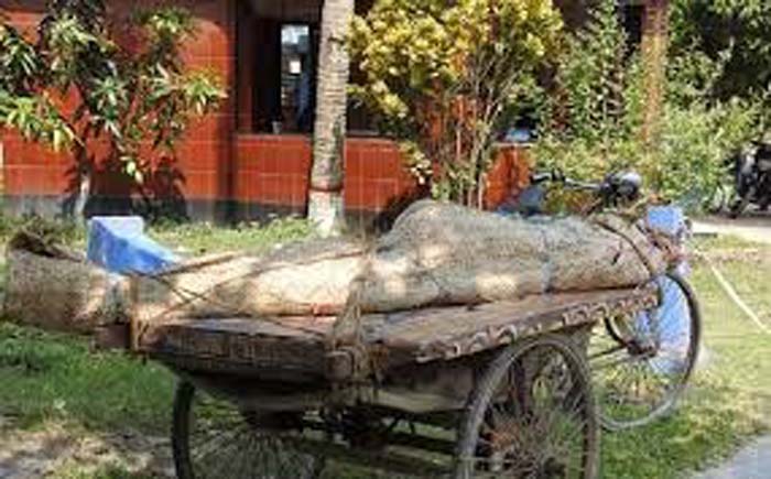 হিজলায় ছাগলে ধানের চারা খাওয়ায় কৃষককে পিটিয়ে হত্যা